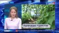 Новости Приморья коротко. Во Владивостоке машины ДПС оснастили комплексом, который автоматически фиксирует нарушения На набережной Спортивной гавани Владивостока обновляют покрытие центрального фонтана К началу активного...