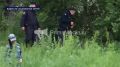 Во Владивостоке поймали гималайского медведя! Косолапого заметили в микрорайоне Эгершельд