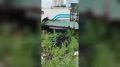 Во Владивостоке в районе Эгершельда бегает медведь