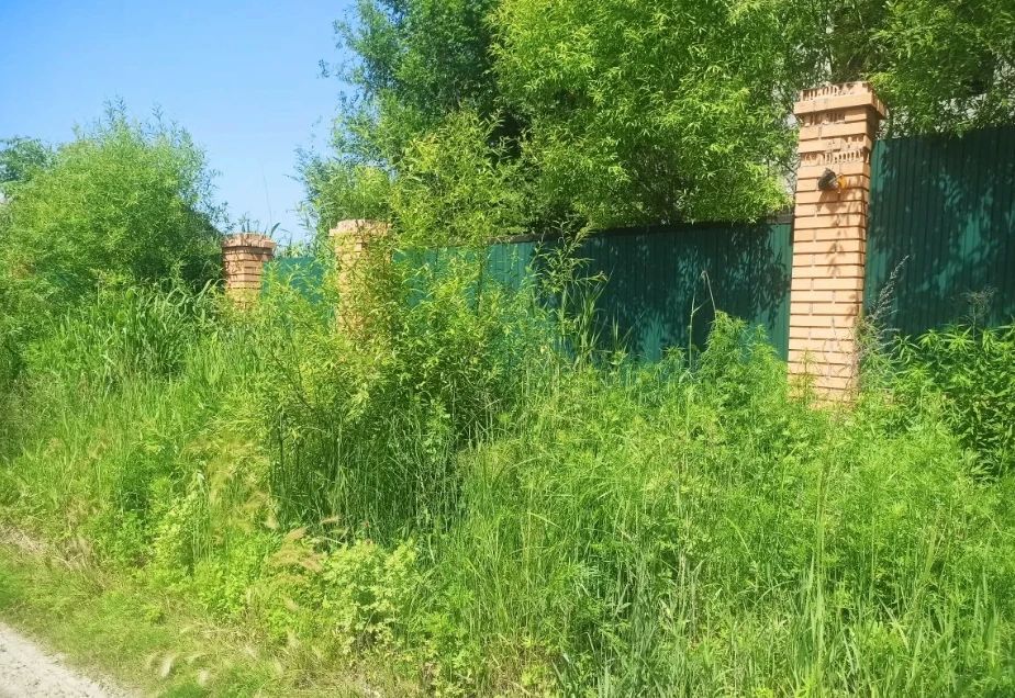 Администрация Уссурийска ведёт контроль содержания земельных участков Администрация Уссурийска ведёт контроль содержания земельных участков