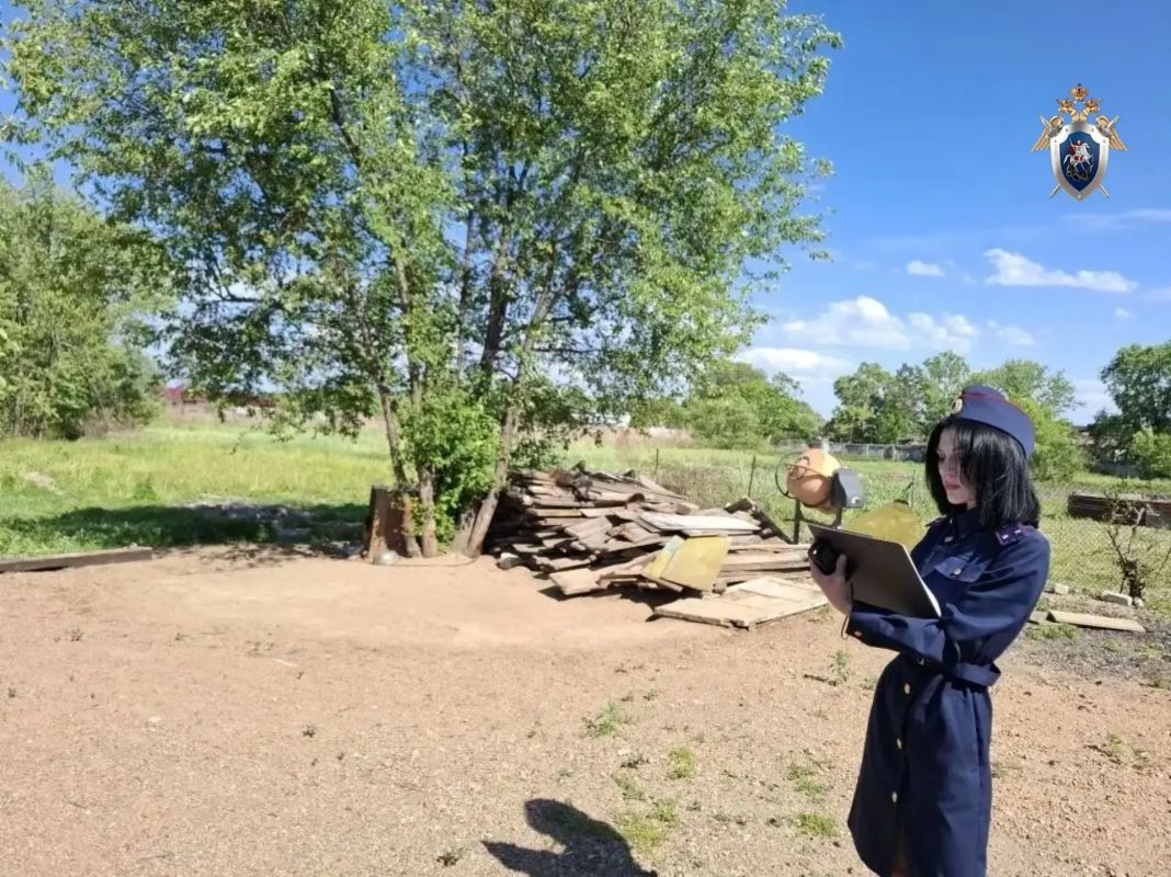 СКР Приморья завершено расследование уголовного дела в отношении женщины, которая обвиняется в причинении смерти ребенку, которого покусал сторожевой пес