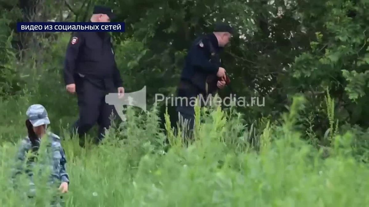 Во Владивостоке поймали гималайского медведя! Косолапого заметили в микрорайоне Эгершельд