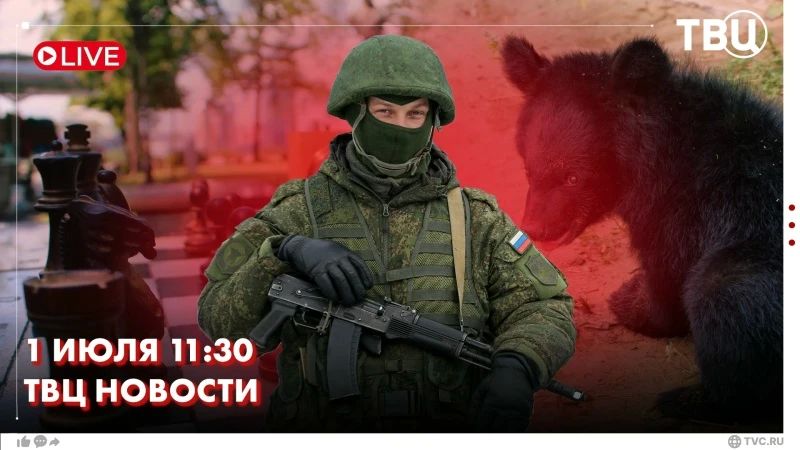 По тыловым районам противника сегодня ночью били российские войска