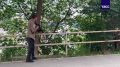 Жители Владивостока заметили медведя в одном из районов города, специалисты выехали на отлов животного
