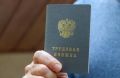 Более 50 участников СВО трудоустроили на муниципальные предприятия Владивостока