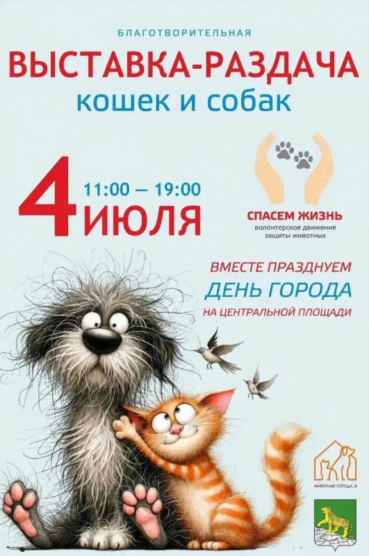 Жителей и гостей Владивостока приглашают гостей на благотворительную мини выставку-раздачу кошек и собак