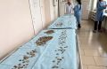 Какие предметы чаще всего проглатывают дети, рассказали приморские врачи
