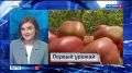 Новости Приморья коротко.. - Более 50 нарушений выявила Госавтоинспекция Приморья во время рейда «Автобус»: - Приморские аграрии приступили к сбору раннего картофеля и овощей; - Чат-бот для жалоб на нелегальный бизнес...
