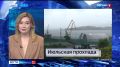Новости Приморья коротко.. - Нелегальных мигрантов поймали на Морском кладбище во Владивостоке; - Филиал центра «ВОИН» готовят к открытию во Владивостоке; - Облачной и прохладной будет новая рабочая неделя в Приморье