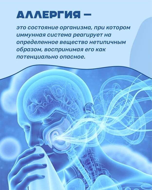 В Приморье стартовала Неделя профилактики аллергических заболеваний В Приморье стартовала Неделя профилактики аллергических заболеваний
