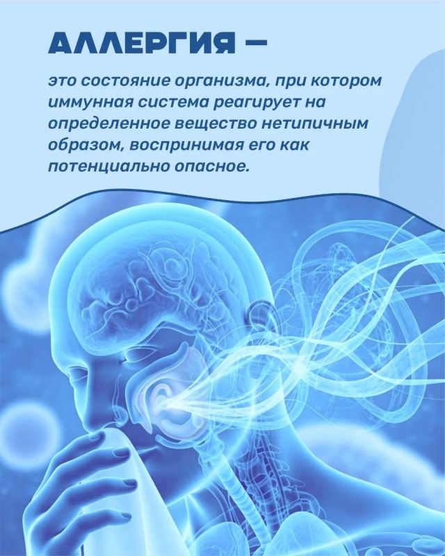 В Приморье стартовала Неделя профилактики аллергии В Приморье стартовала Неделя профилактики аллергии