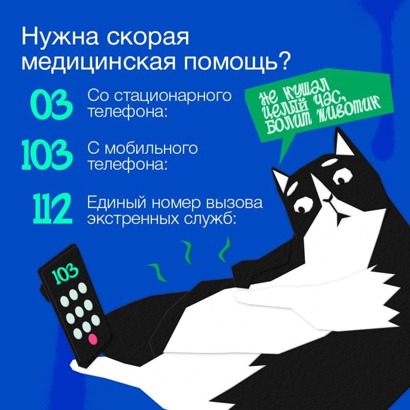Куда звонить, если случилась беда: памятка для детей и родителей Куда звонить, если случилась беда: памятка для детей и родителей