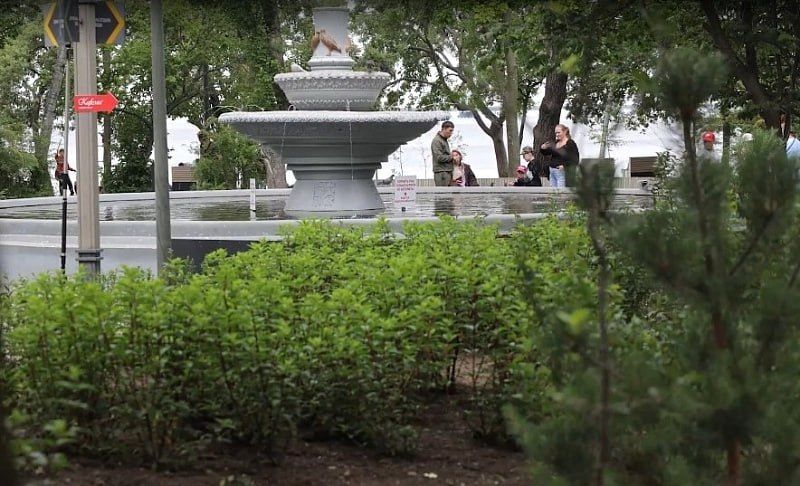 50 сосен и более 1000 декоративных кустарников высадили в парке на Санаторной
