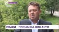 Акулы зашли в приморскую акваторию вслед за рыбой