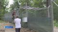 В тайге, почти в границах села Каймановка — совсем скоро заработает новый реабилитационный центр для диких зверей