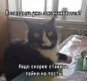 Осталось всего два дня!. Уже в воскресенье, 12-го июля, мы узнаем имена победителей нашего розыгрыша Условия самые простые: