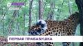 � �������� ��������� ������ ����� �������� � ������� ����������