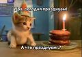������ ����, ��� ��������. ������� ���������� ���� ������ � ����������� ���� ����������