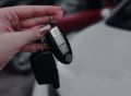 В Приморском крае предлагают ввести специализированное обучение для тех, кто ездит на автомобилях с правым расположением руля – инициатива не предполагает запретов, а лишь адаптацию образовательных программ к особенностям...