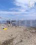 Купание на пляже в Приморье, где обрушился мост с детьми, было запрещено из-за опасных медуз