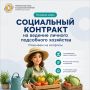 Социальный контракт на ведение личного подсобного хозяйства