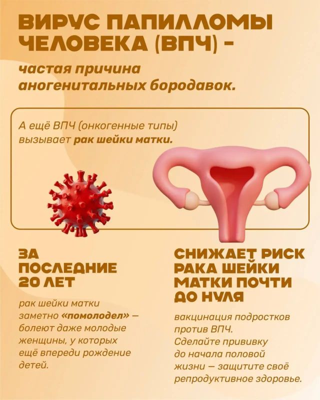 В Приморье проходит Неделя профилактики инфекций, передающихся половым путём В Приморье проходит Неделя профилактики инфекций, передающихся половым путём