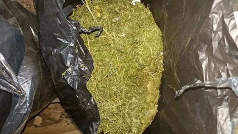Полицейские изъяли у жителя Красноармейского округа Приморья более 1 кг марихуаны Полицейские изъяли у жителя Красноармейского округа Приморья более 1 кг марихуаны