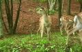 ������������ ����� � ����� ���������� ������������ ��������� ����� � ��������