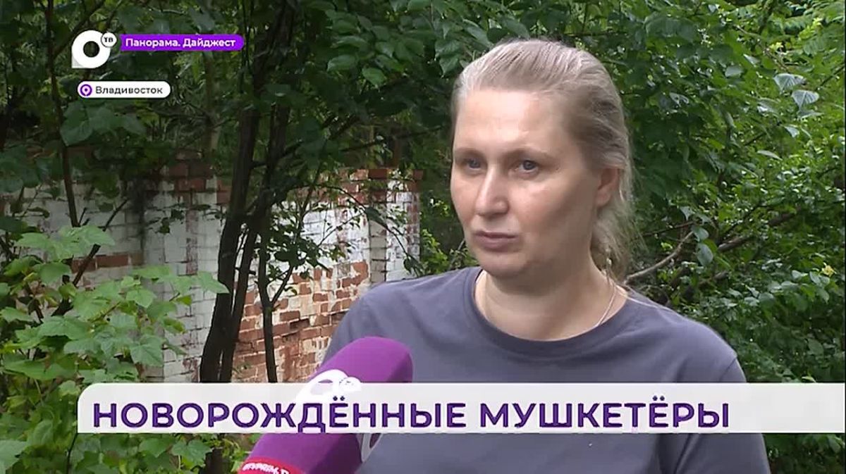 Найденные в Приморье новорожденные косулята заметно окрепли в реабилитационном центре