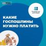 Какие госпошлины нужно платить