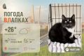 #ПогодаВЛапках. Малооблачно