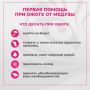 На пляжах Приморья начали появляться медузы-крестовики