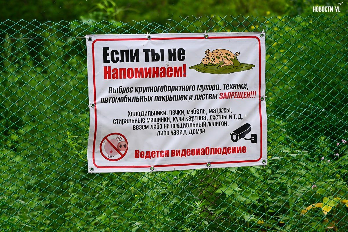 Озеро у помойки: как люди в Трудовом меняют пространство Озеро у помойки: как люди в Трудовом меняют пространство