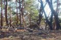 Дальневосточный леопард покоряет заказник «Полтавский»