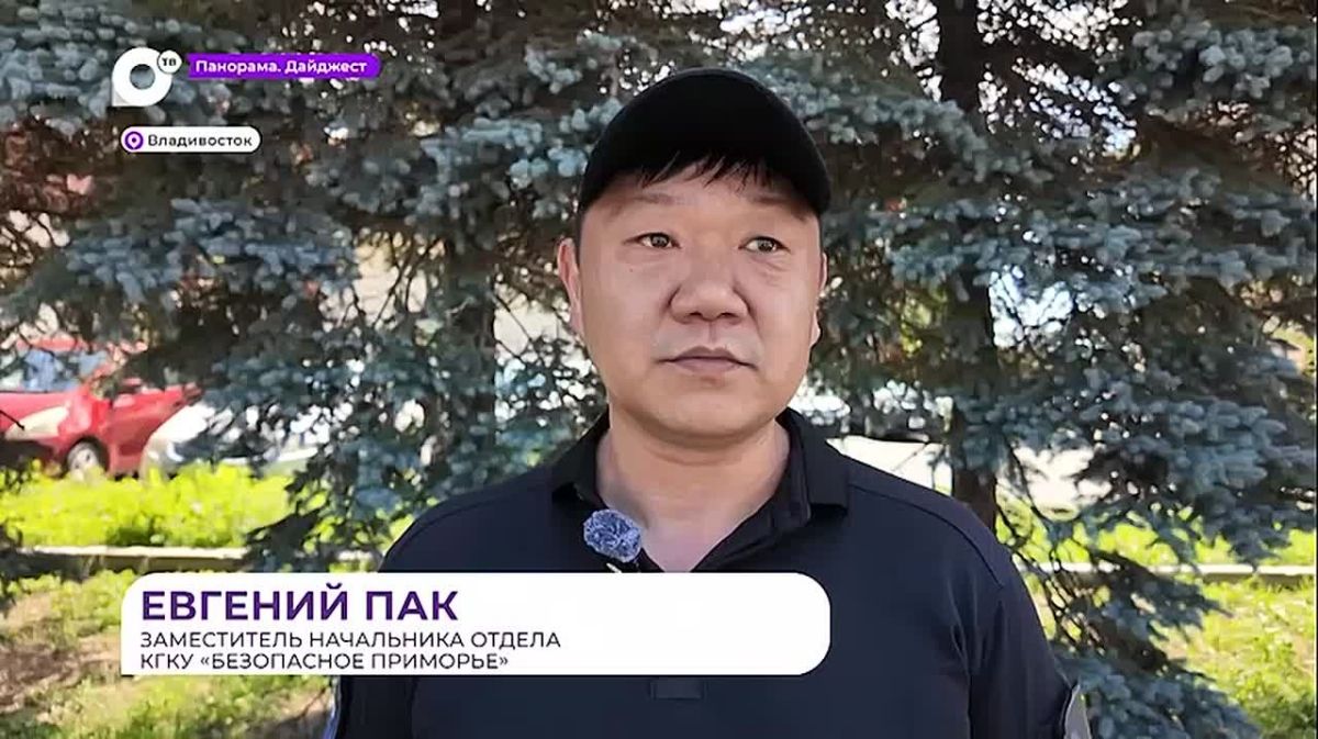 Ежедневно сотрудники «Безопасного Приморья» обеспечивают порядок во Владивостоке