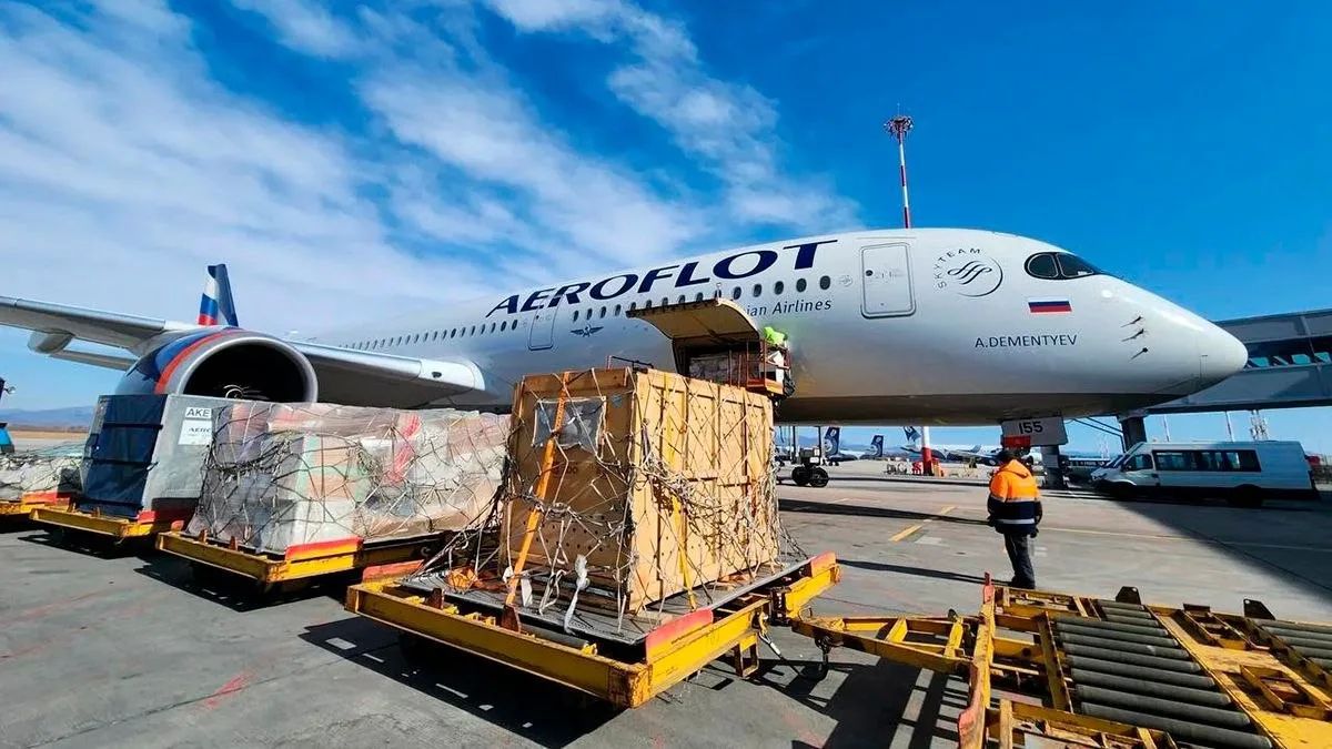 «Аэрофлот» перевез из Владивостока в Москву двух амурских тигриц, которые из-за полученных в прошлом травм не могут вернуться в дикую природу