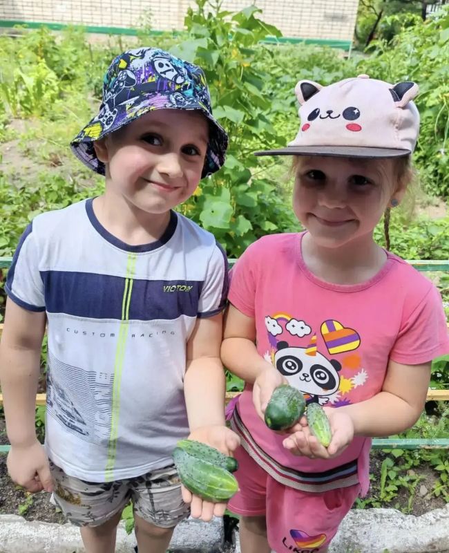 Первый урожай юных агрономов из Артёма! Первый урожай юных агрономов из Артёма!