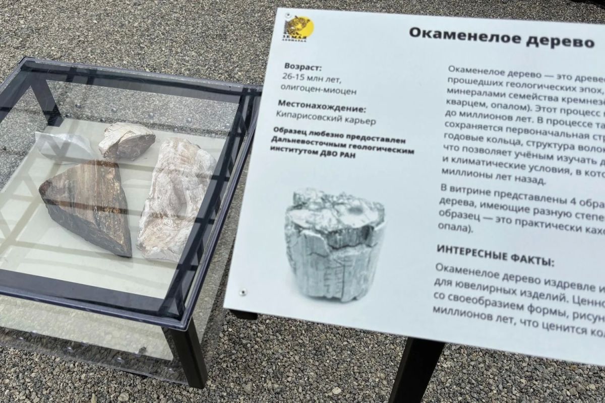 Первый в Приморье геологический музей под открытым небом открыли на Кравцовских водопадах Первый в Приморье геологический музей под открытым небом открыли на Кравцовских водопадах