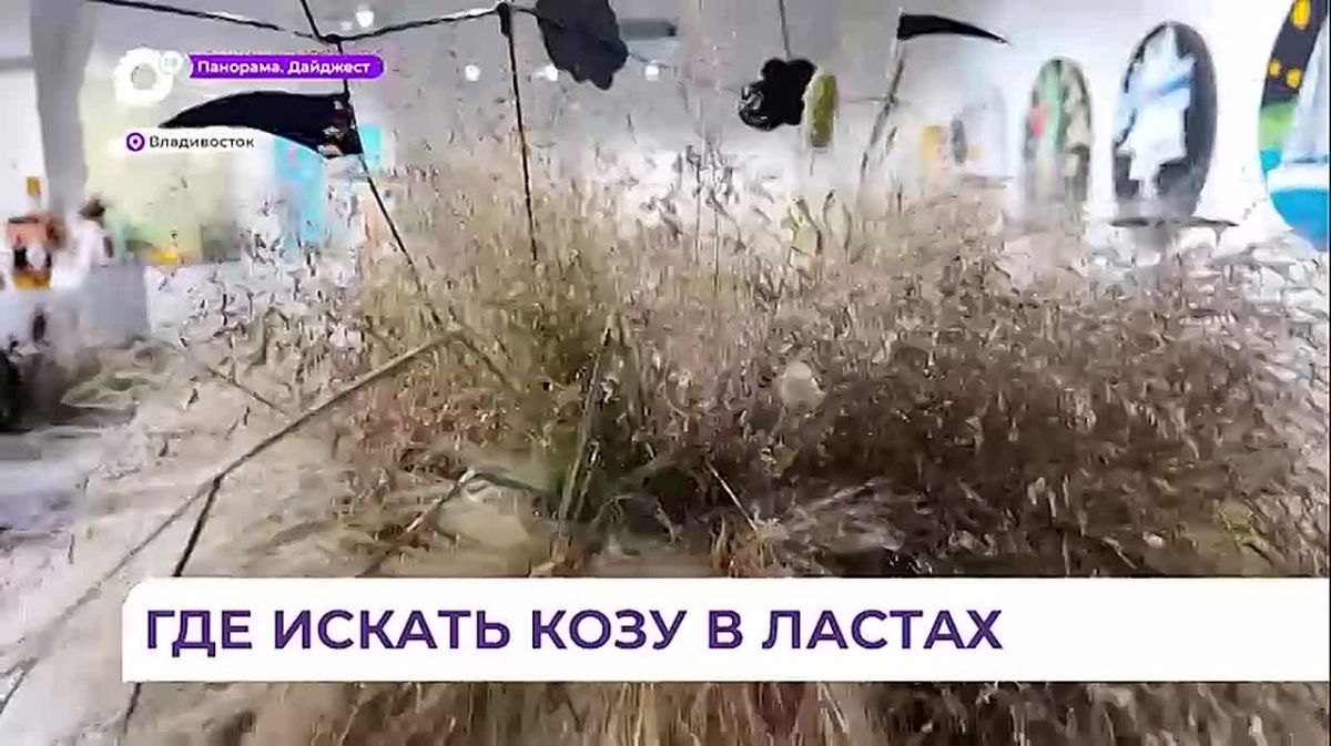 Во Владивостоке открылась необычная выставка «Перкиннале»
