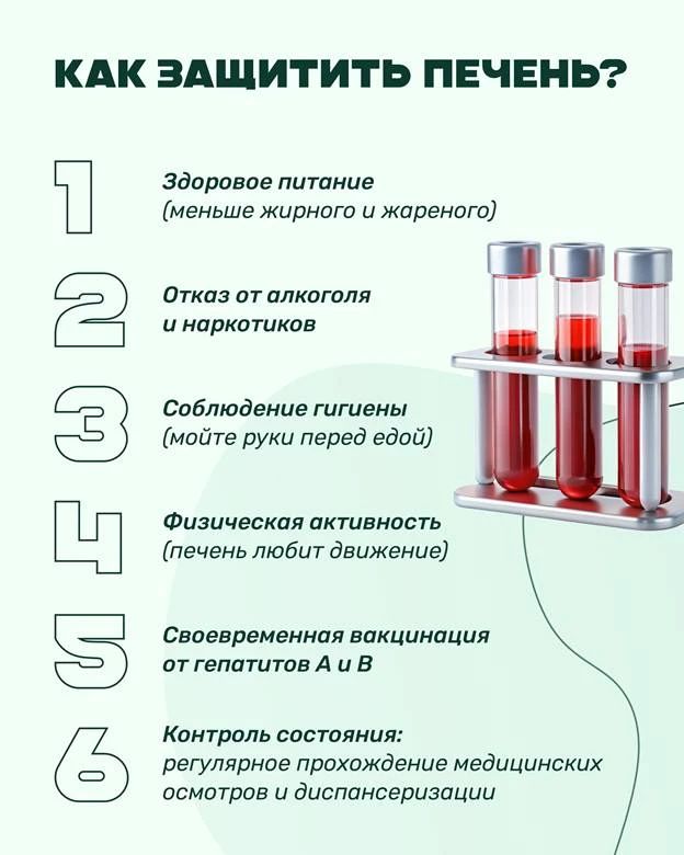 Здоровье печени начинается с простых привычек Здоровье печени начинается с простых привычек