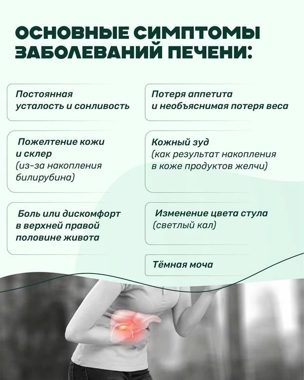 Здоровье печени начинается с простых привычек Здоровье печени начинается с простых привычек
