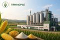 Инвестора для строительства завода глубокой переработки кукурузы ищут в Приморье