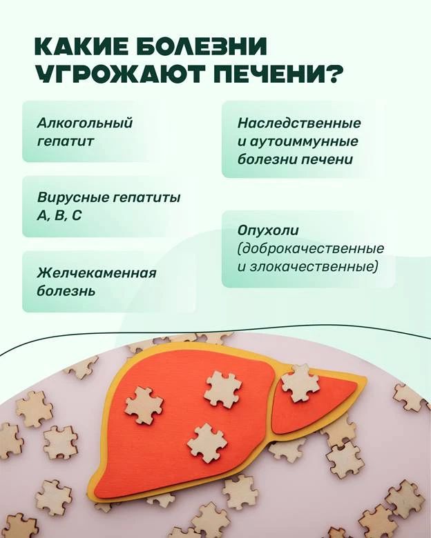 Здоровье печени начинается с простых привычек Здоровье печени начинается с простых привычек