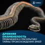 Разгадка близка? Бразильские ученые приблизились к пониманию происхождения змей