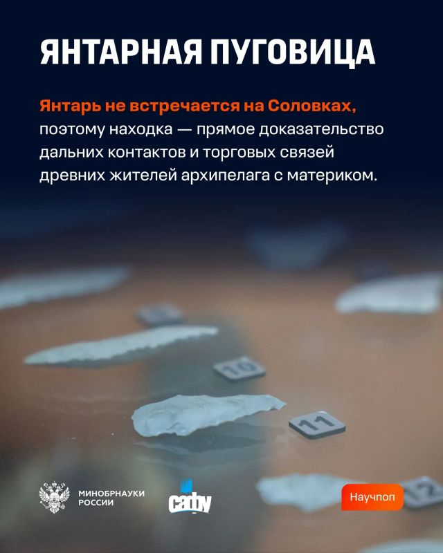 Выкладываем карты на стол. Буквально в карточках — необычные археологические находки, о которых подробнее рассказали кандидат исторических наук, заместитель директора по науке Соловецкого музея-заповедника Александр Мартынов... Выкладываем карты на стол. Буквально в карточках — необычные археологические находки, о которых подробнее рассказали кандидат исторических наук, заместитель директора по науке Соловецкого музея-заповедника Александр Мартынов...