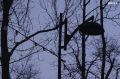 Спустя год после поломки в Покровском парке во Владивостоке восстановят освещение