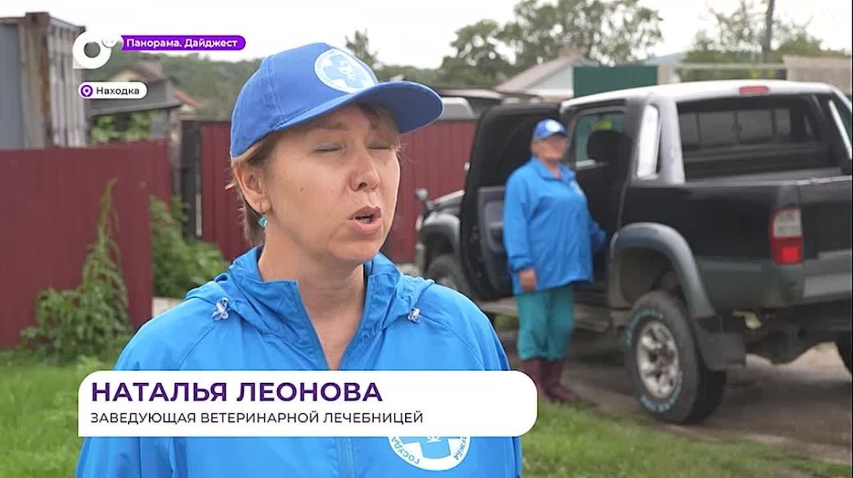 Находкинская ветстанция на колёсах обеспечивает безопасность животных