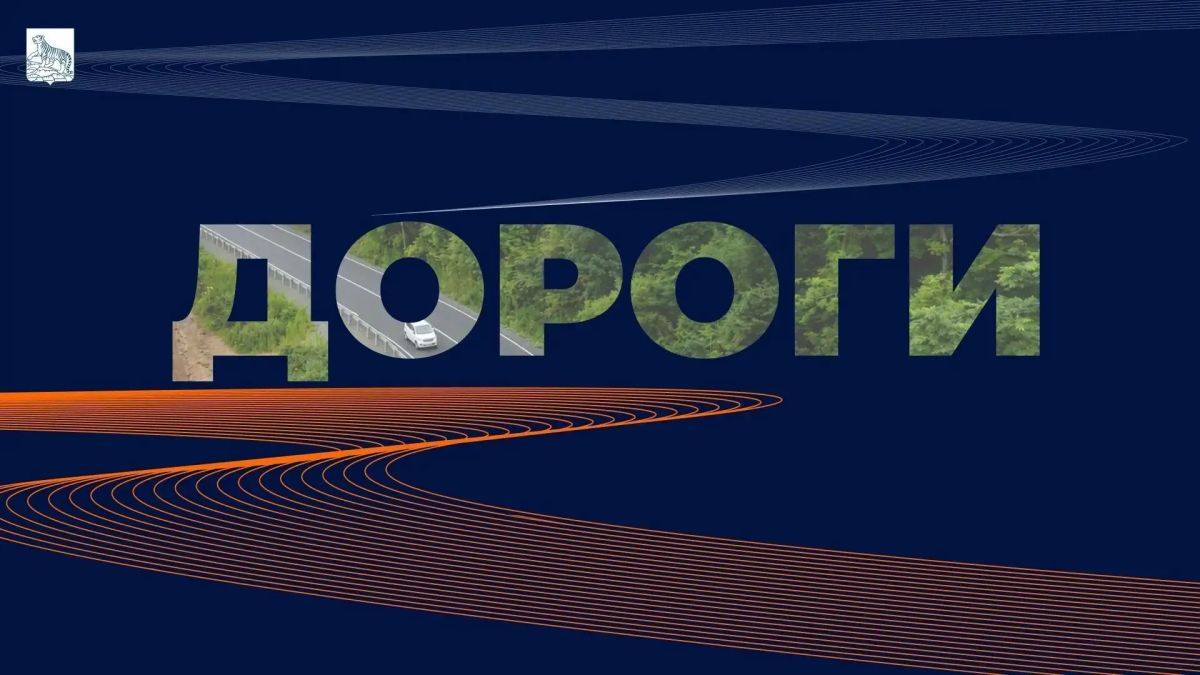 Во Владивостоке построят новый четырёхполосный Рудневский мост