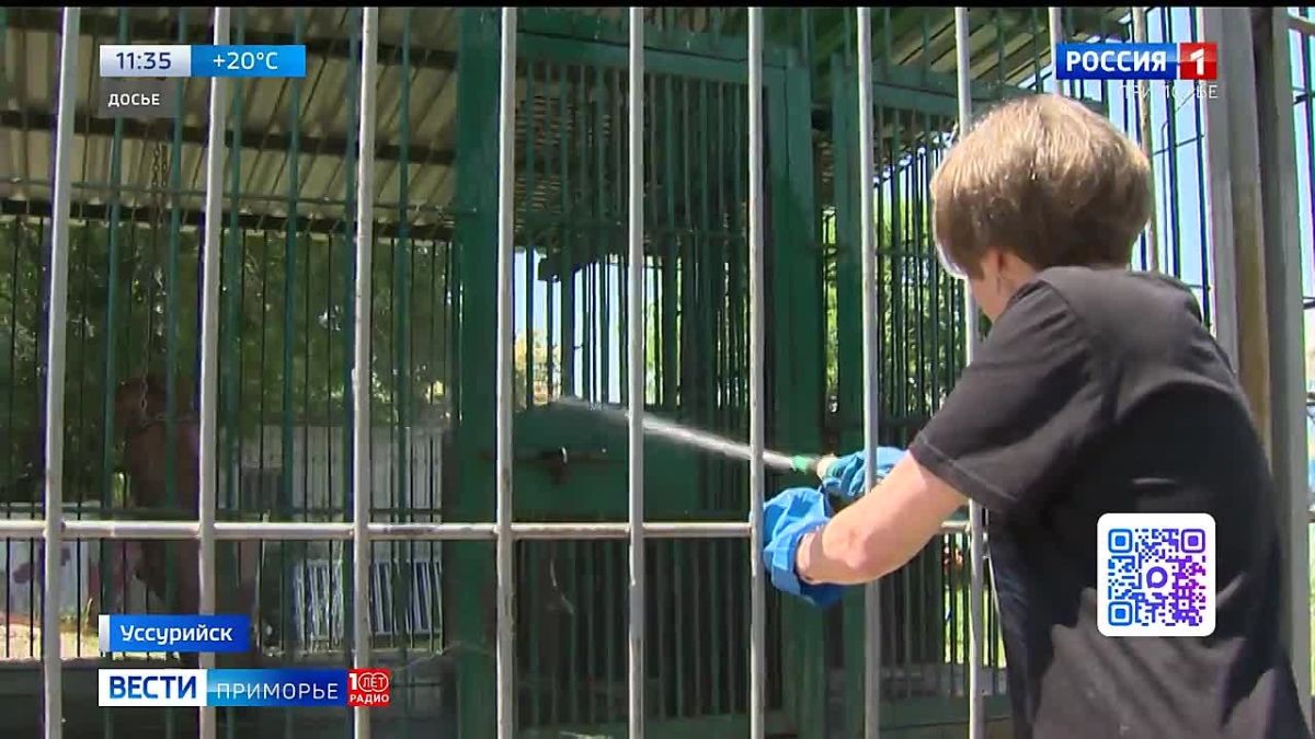 Медведь в вольере парка «ДОРа» в Уссурийске напал на работницу, которая кормила животных, и откусил ей часть правой руки