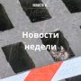 Материалы недели от Новостей VL, которые вы могли пропустить: